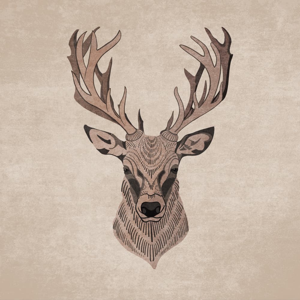 Majestic Stag Profile by Emel Tunaboylu — canvas wall art