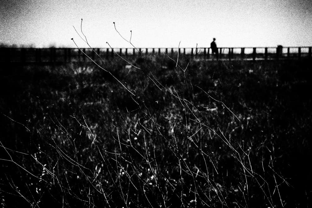 Lone Figure Walking by Paulo Abrantes — canvas wall art