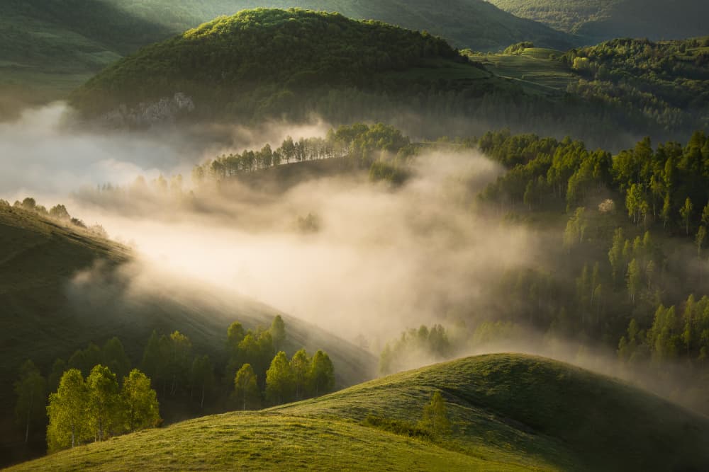 Golden Light Morning Mist by Vlad Paulet — canvas wall art