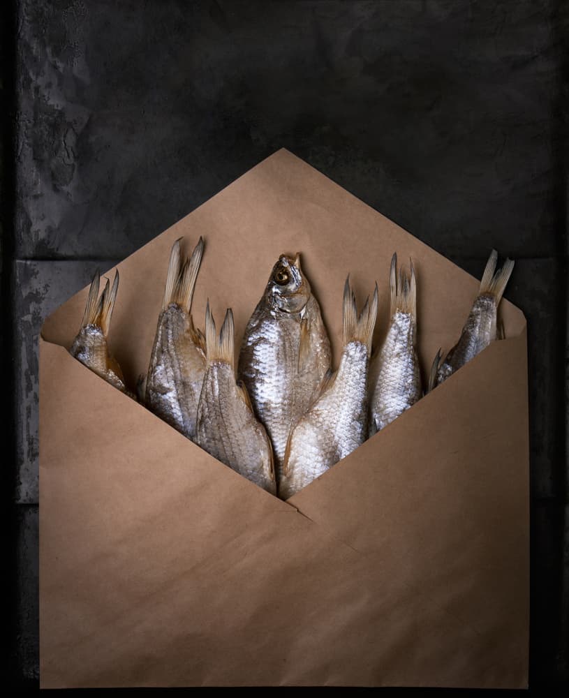 Dried Fish Envelope by Golubeva Nataly — canvas wall art