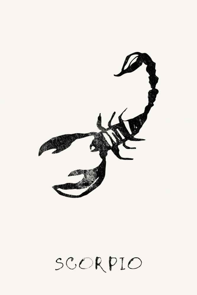 Scorpio Zodiac Sign by Treechild — canvas wall art