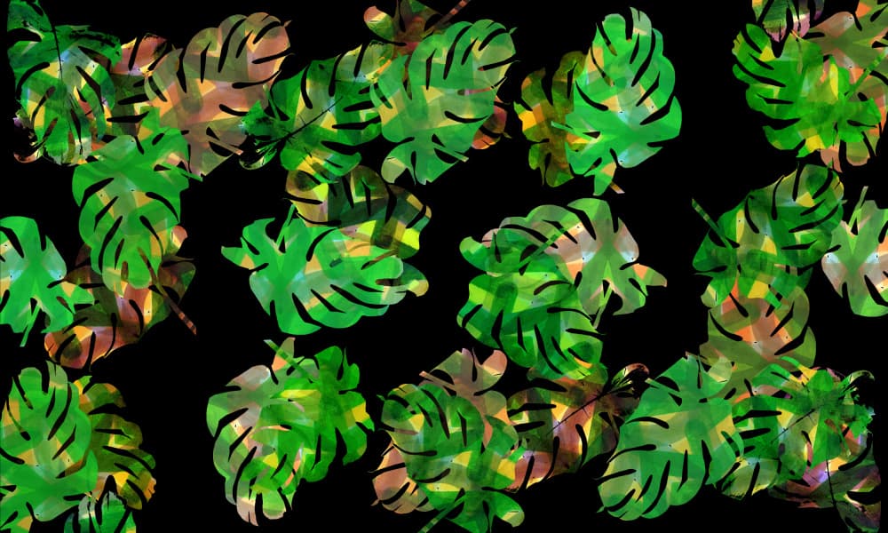 Vibrant Monstera Leaves by cartissi — canvas wall art