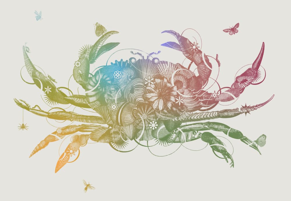 Intricate Rainbow Crab by Jaco Putker — canvas wall art