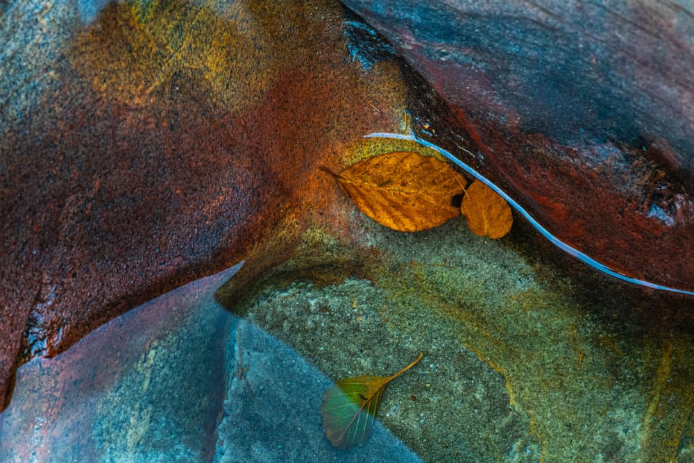 Colorful Autumn Waters by Ulrike Eisenmann — canvas wall art