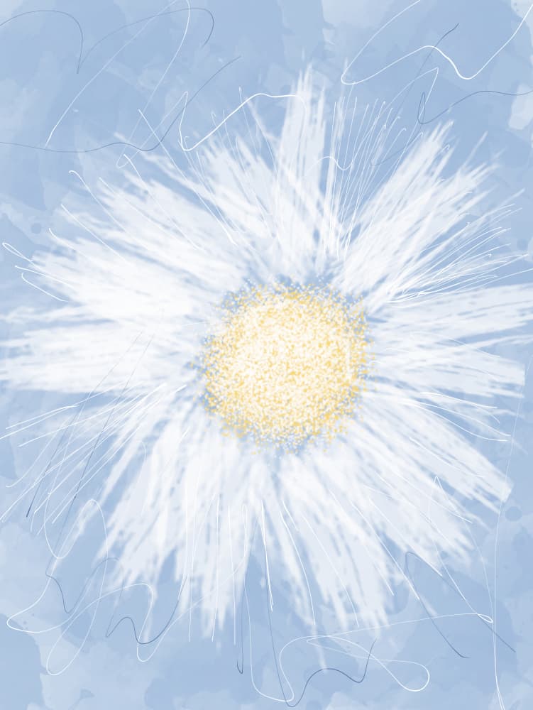 Softest Petals 3 by Sannel Larson — canvas wall art