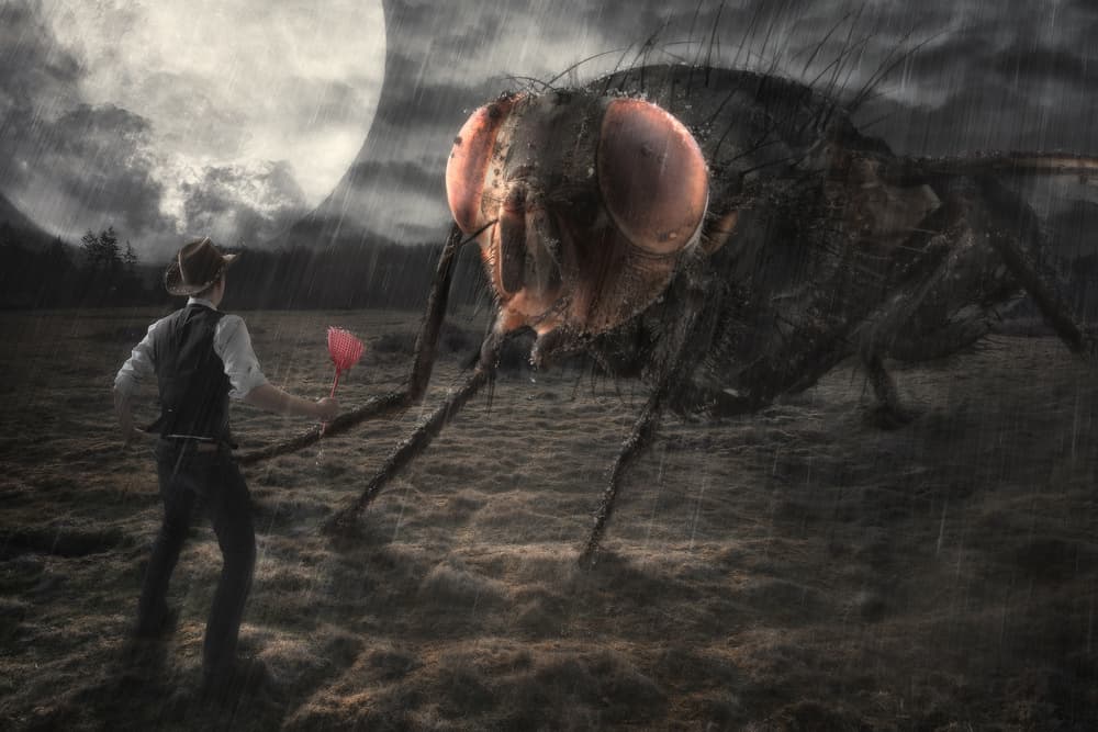 Giant Fly Encounter by Christophe Kiciak — canvas wall art
