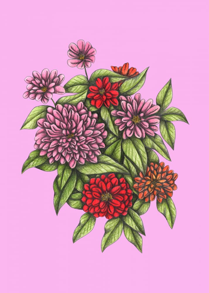 Colorful Garden Blooms by Cecilia Battaini — canvas wall art