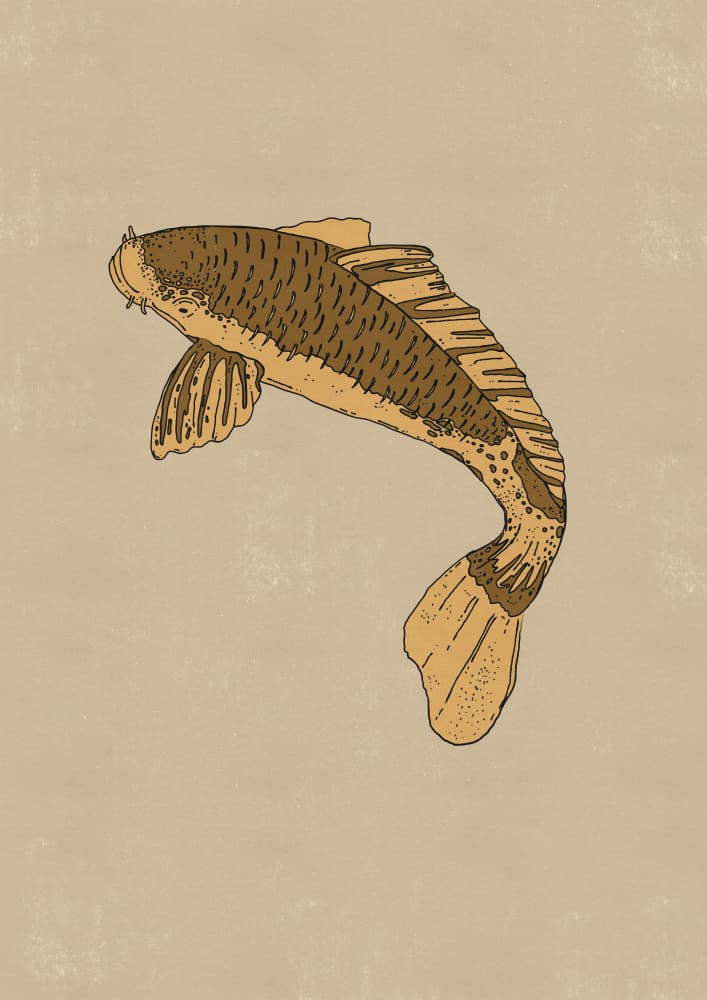 Traditional Brown Carp by Nicholas — canvas wall art