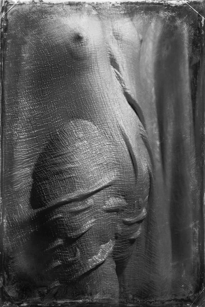 Textured Female Torso by Bogdan Bouşcă — canvas wall art