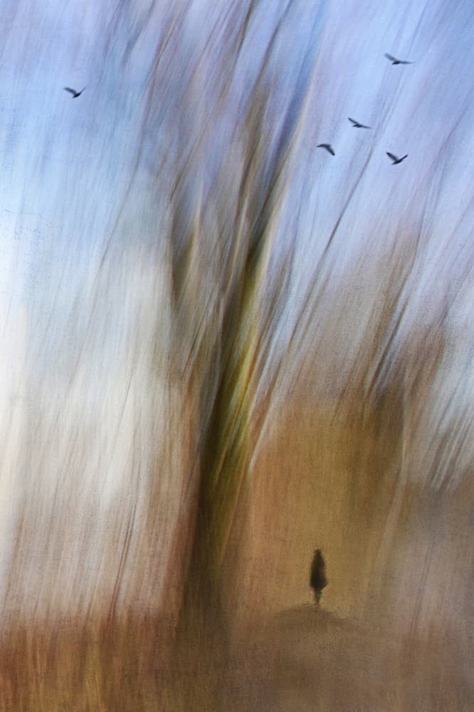 Ethereal Forest Flight by Marchevca Bogdan — canvas wall art