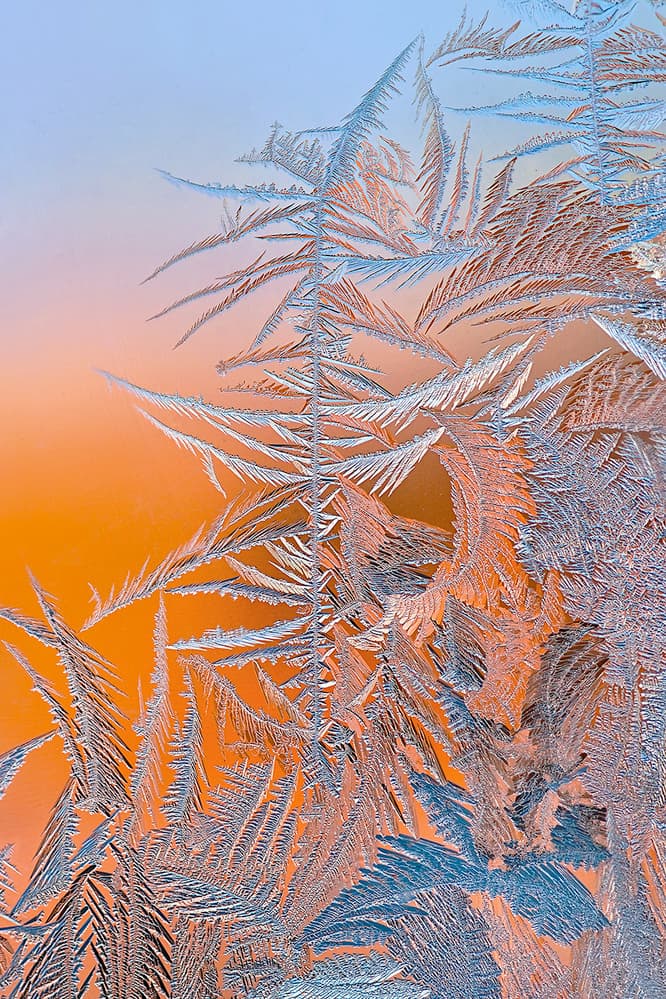 Winter Frost Patterns by Hua Zhu — canvas wall art