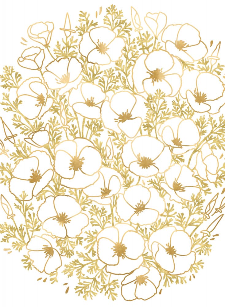 Elegant Golden Poppies by Rosana Laiz Blursbyai — canvas wall art