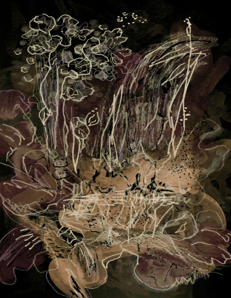 Orchid Bloom Midnight Mocha by Lori Ann Folz — canvas wall art