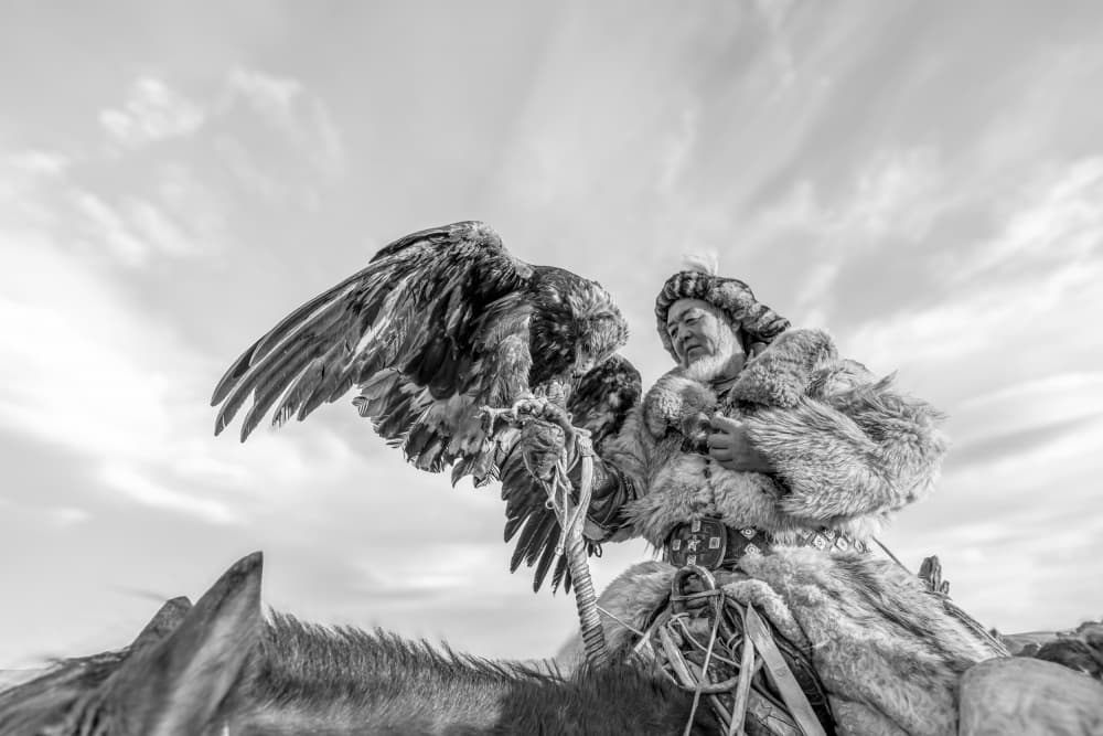 Majestic Eagle Hunter by ADIREK M — canvas wall art