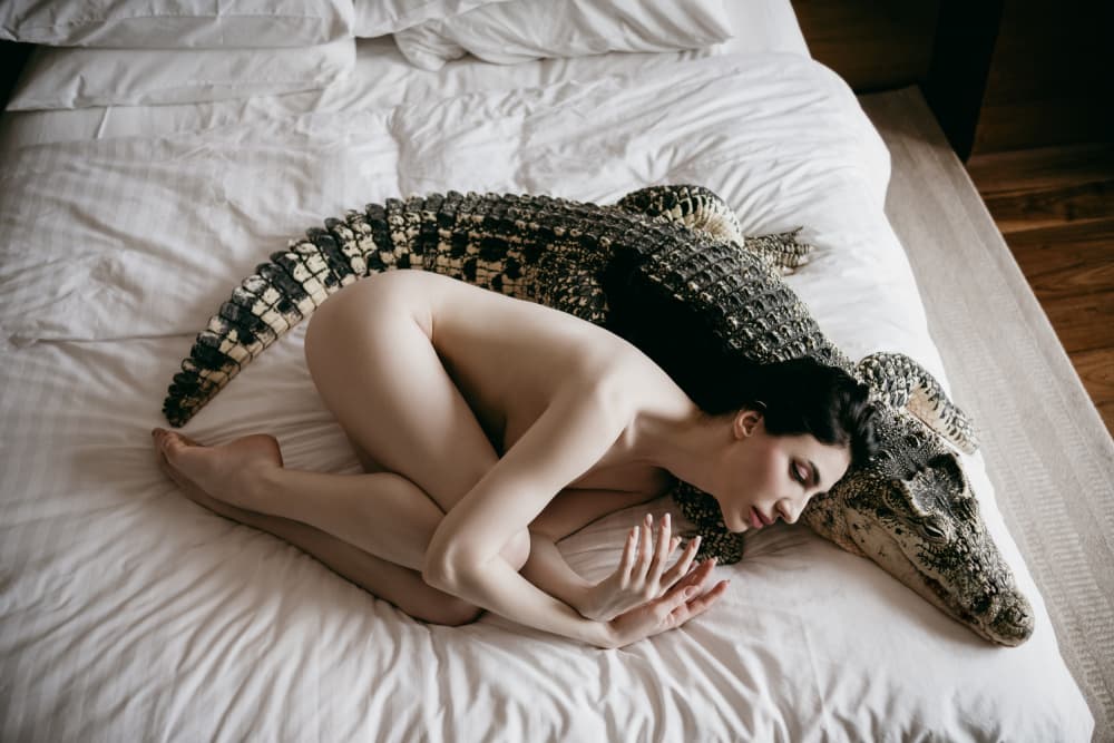 Crocodile Bed Dream by Zanna — canvas wall art