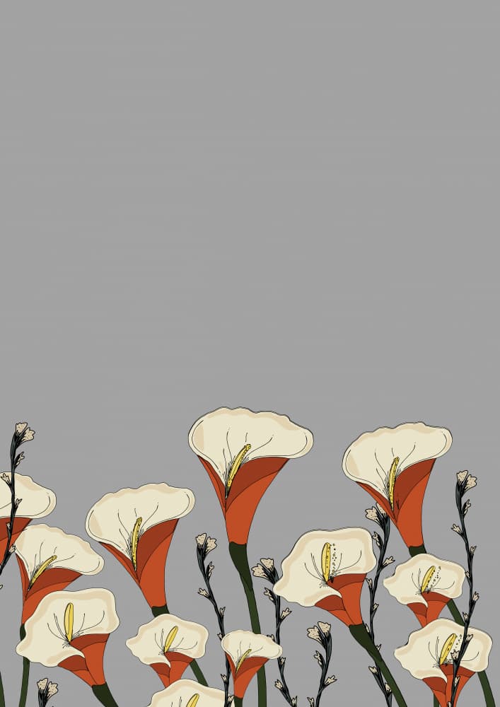 Orange Calla Blooms by Nicholas — canvas wall art