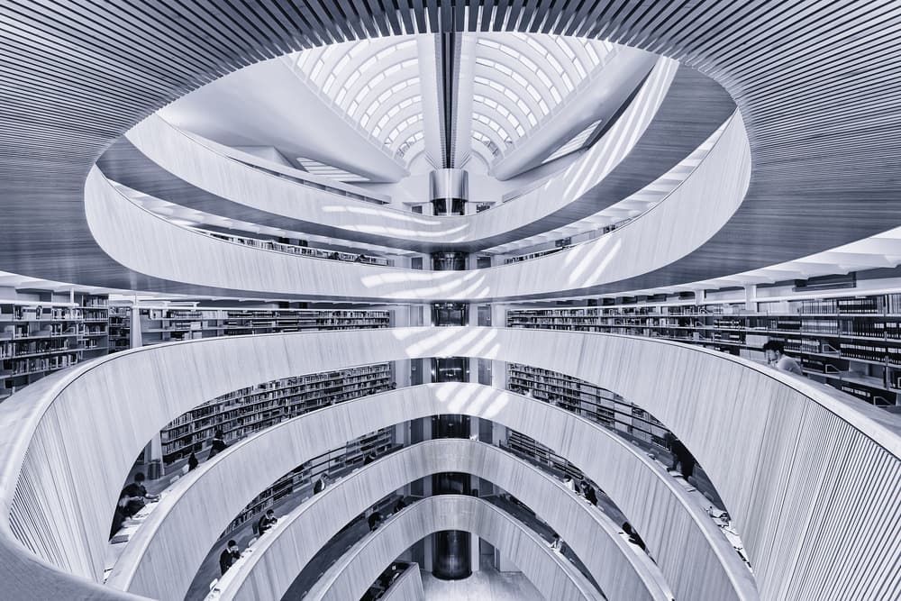 Modern Library Curves by Martin Fleckenstein — canvas wall art