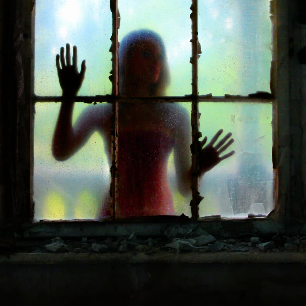 Haunting Window Silhouette by Angelika Vogel — canvas wall art