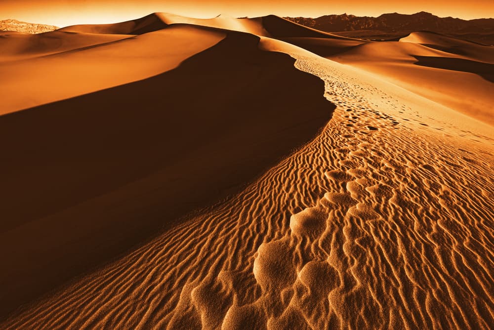 Golden Desert Dunes by Mike Kreiten — canvas wall art