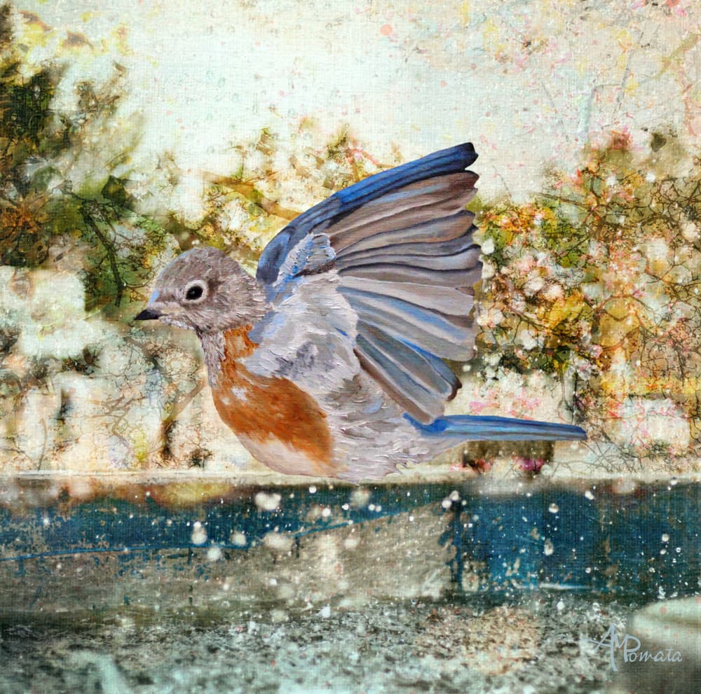 Refreshing Bluebird Bath by Angeles M. Pomata — canvas wall art