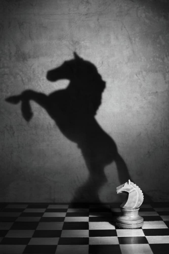 Chess Knight Horse Shadow by Victoria  Glinka — canvas wall art