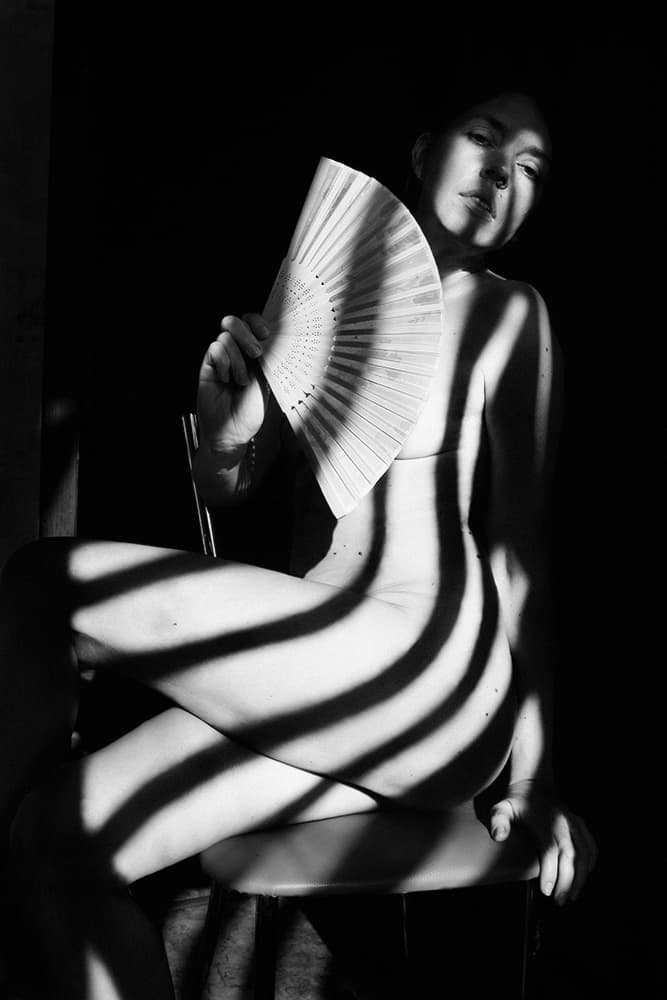Fan In Shadows by Mikhail Faletkin — canvas wall art