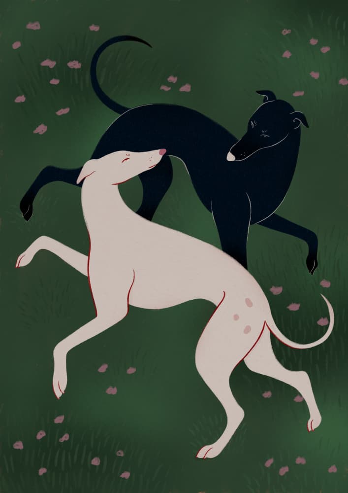 Elegant Greyhound Pair by Ida Alvarsson — canvas wall art