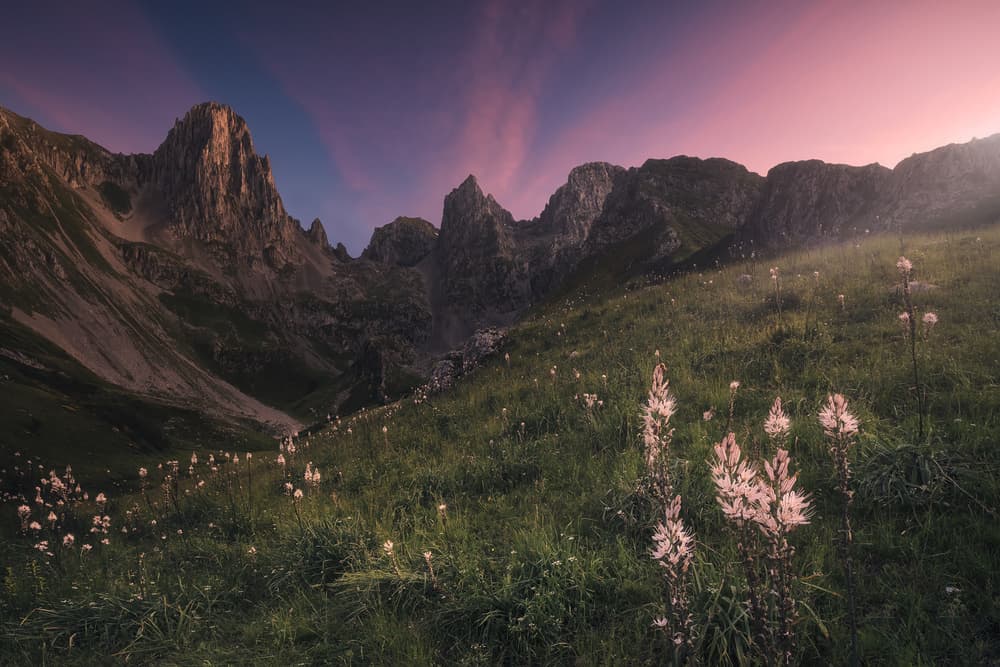 Pink Sky Mountain Meadow by Carlos F. Turienzo — canvas wall art