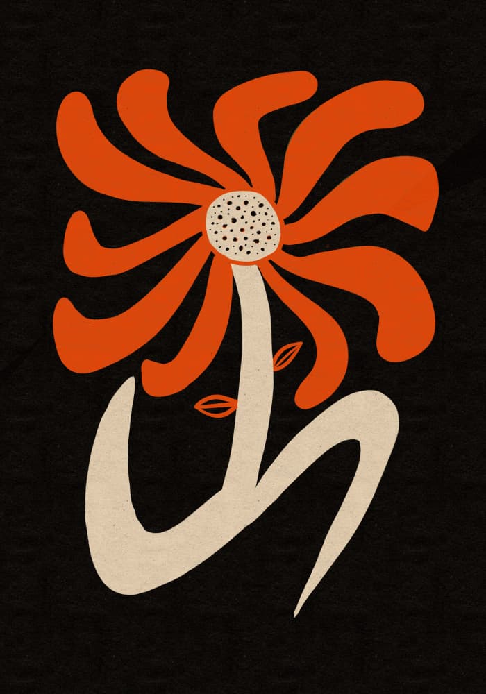 Abstract Orange Flower