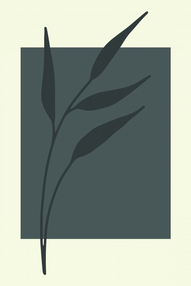 Elegant Botanical Silhouette by jay stanley — canvas wall art