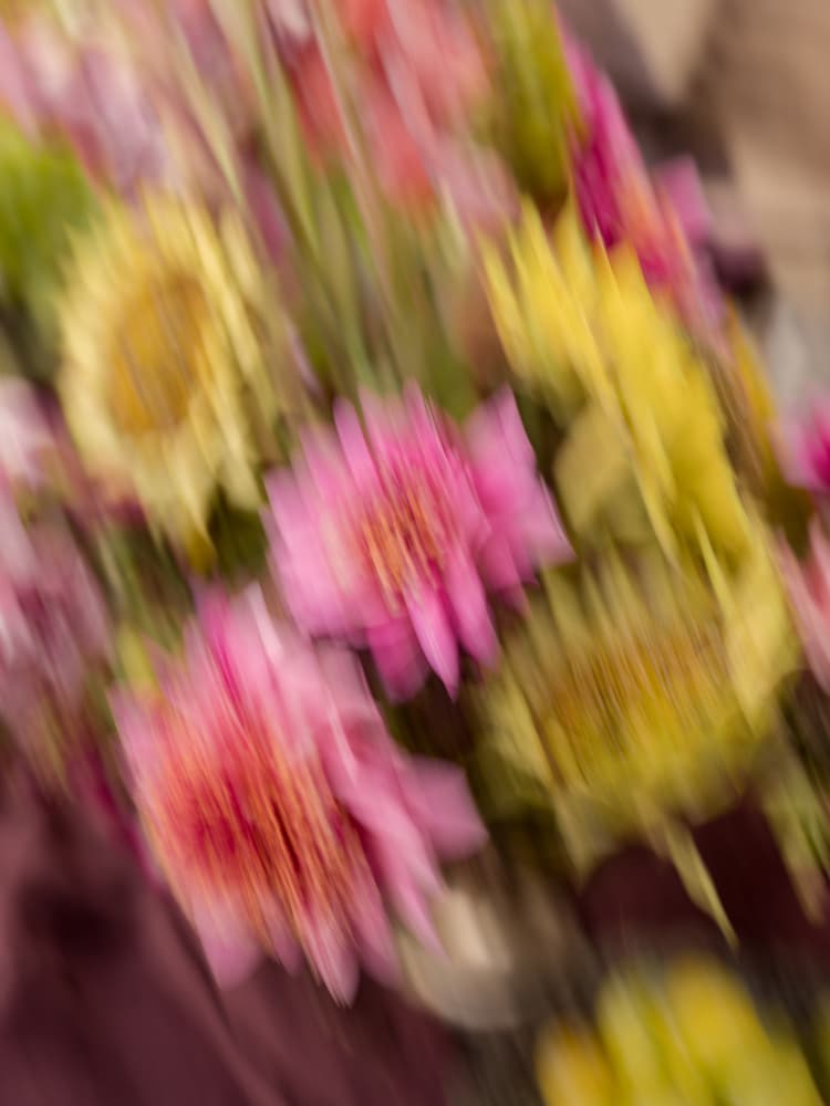 Hazy florals in Pink, Purple and Yellow by Raisa Zwart — canvas wall art