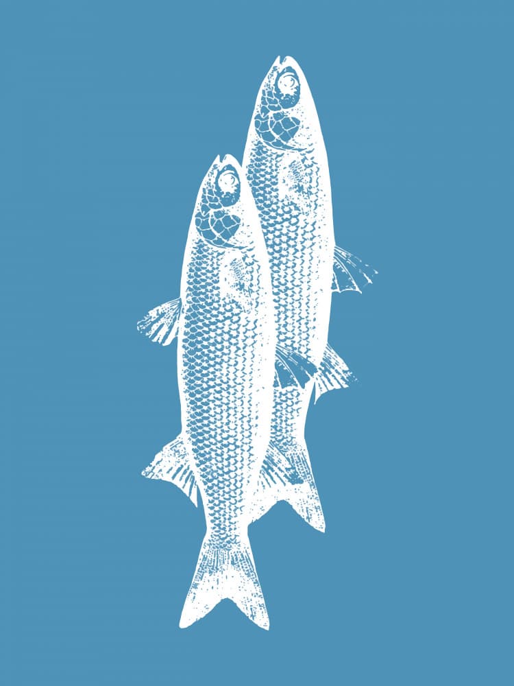 Swimming Blue Fish by Elizabeth C — canvas wall art