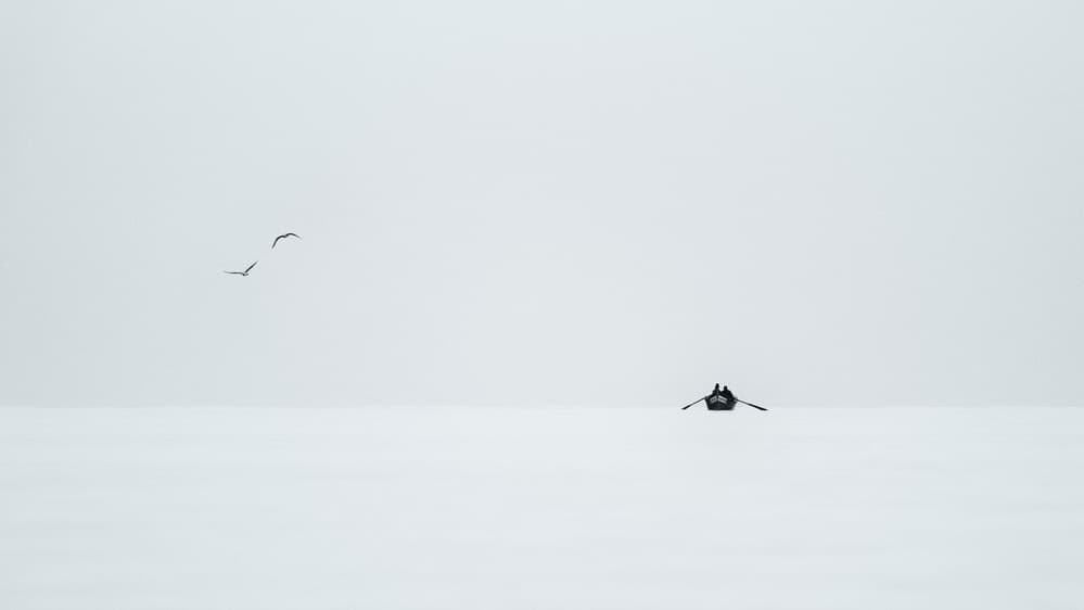 Rowers on White Expanse by Anghel Rusu — canvas wall art