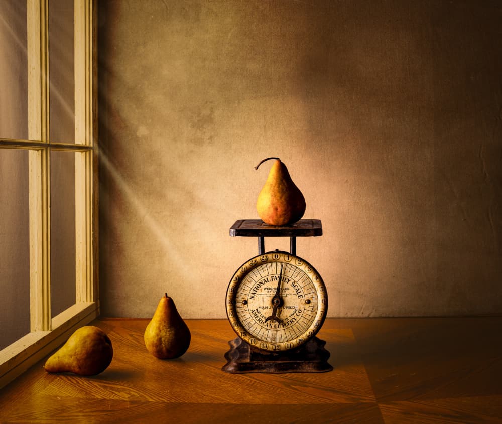 Pears ? by Rob Ryan — canvas wall art