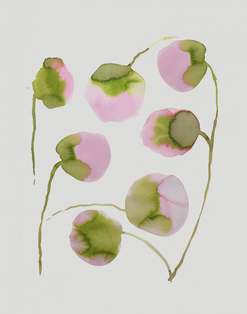 Soft Pink Blossoms by Carola Cedell — canvas wall art