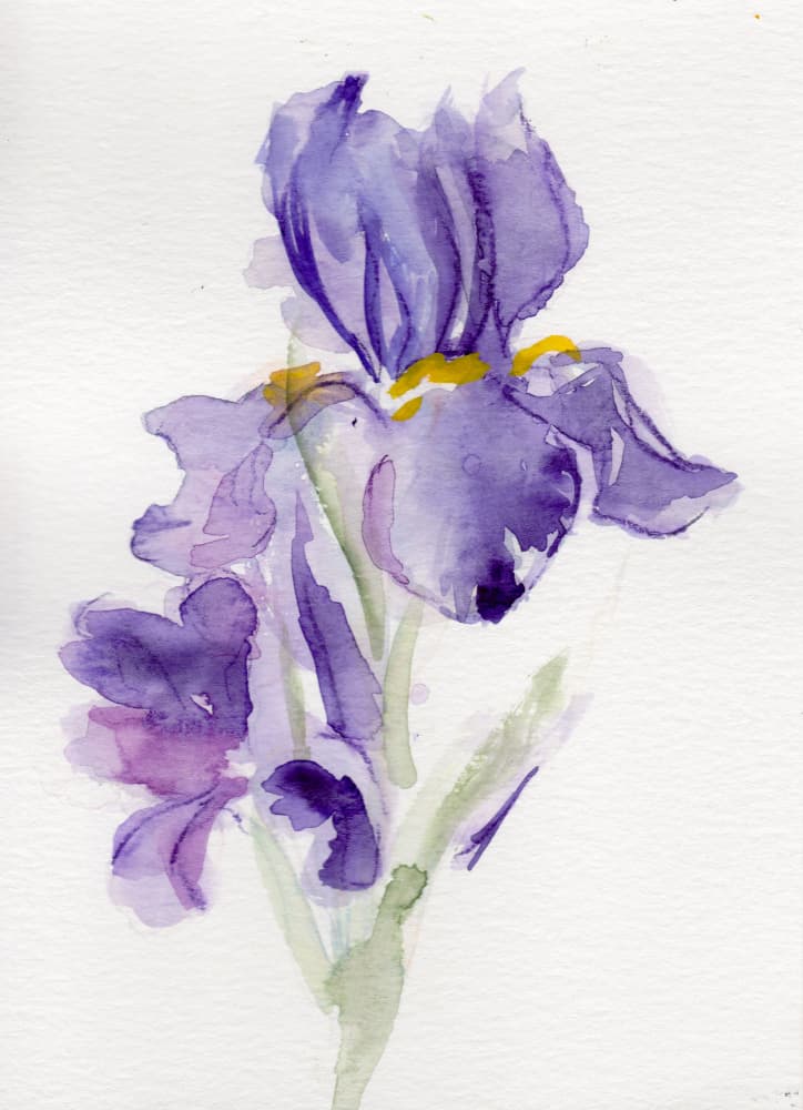 Watercolor Iris Blooms by Christine Lindstrom — canvas wall art