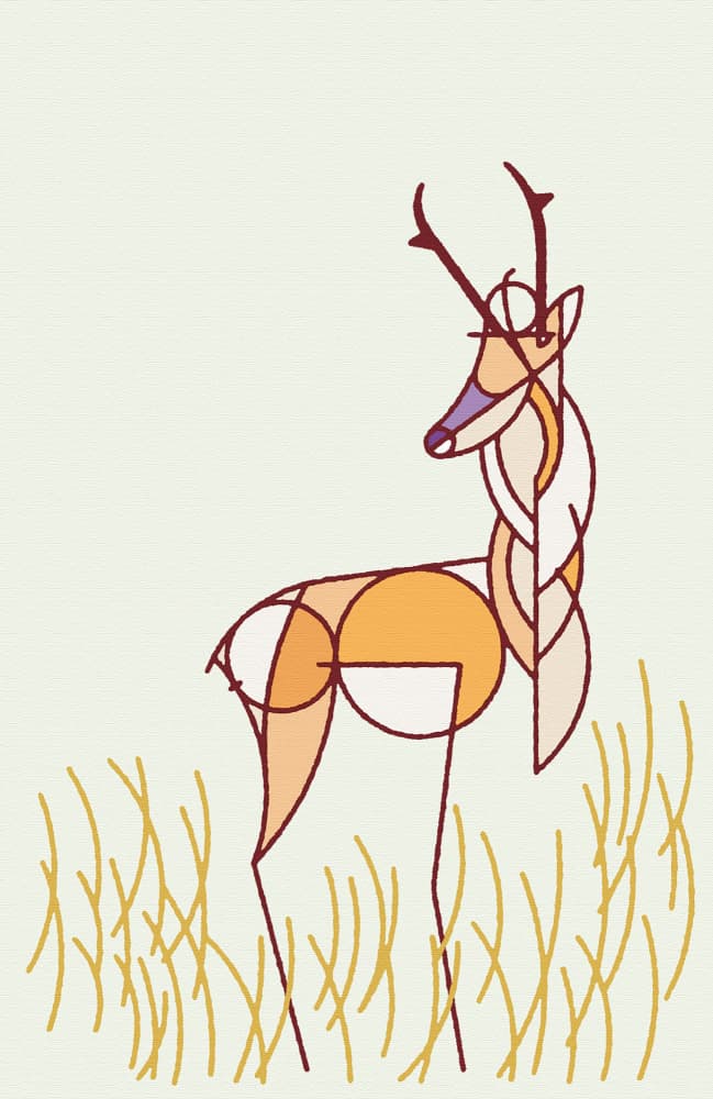 Geometric Deer by Rafa Mateo — canvas wall art