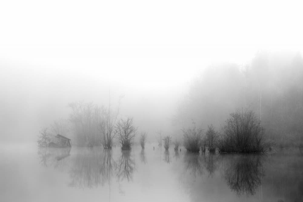 Misty Swamp Reflections by Radek Pohnan — canvas wall art