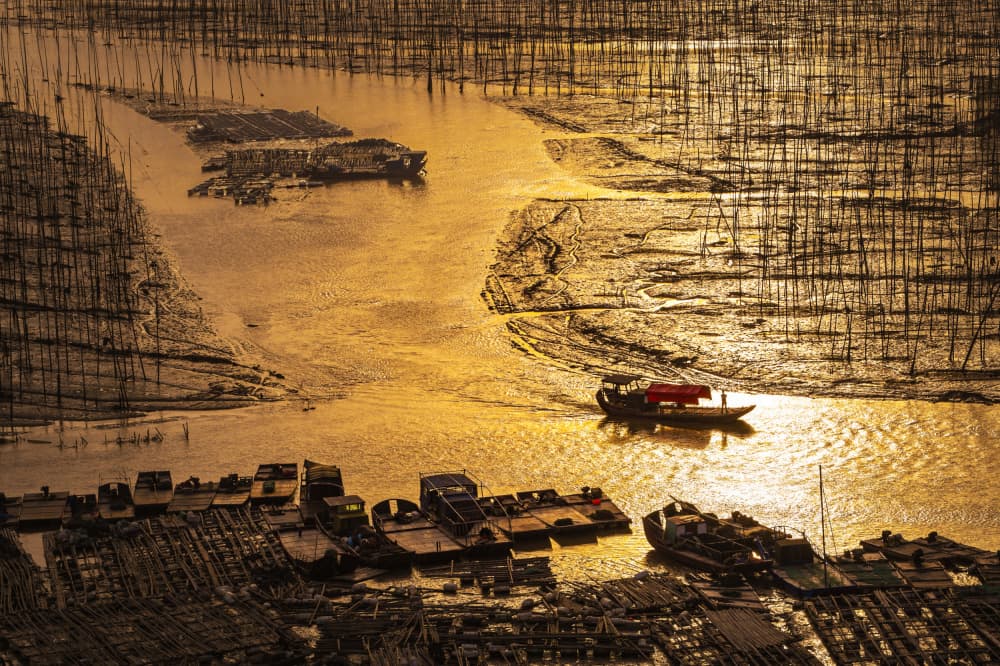 Golden Hour Fishing Farm by Jian Wang — canvas wall art