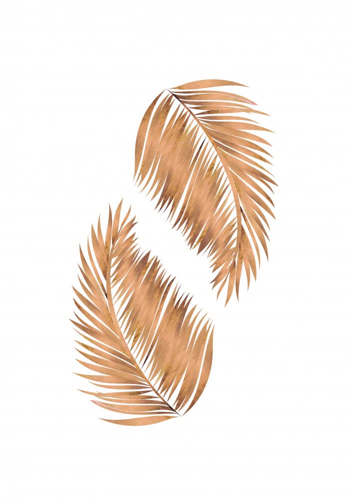 Boho Dried Palm Leaves by Sarah Manovski — canvas wall art
