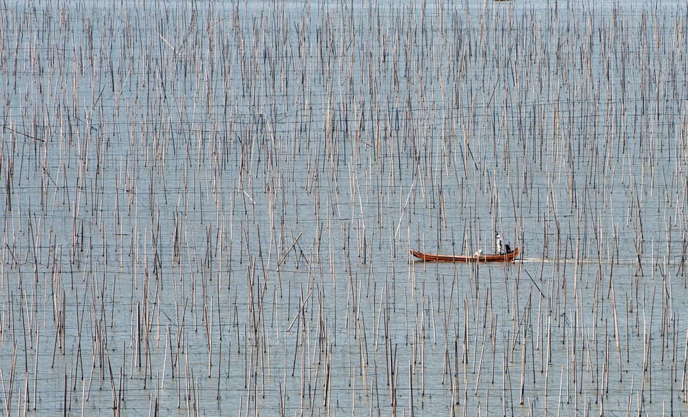 Lone Boat Seaweed Farm by Melih Karakaya — canvas wall art