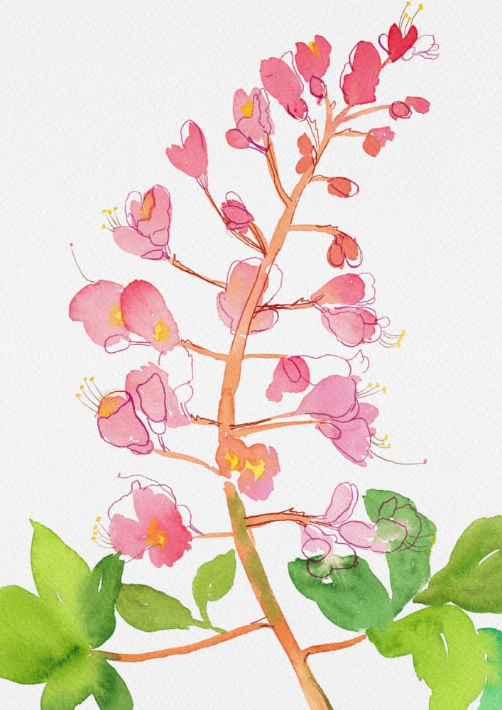 Pink Floral Watercolor by Kata Botanical — canvas wall art