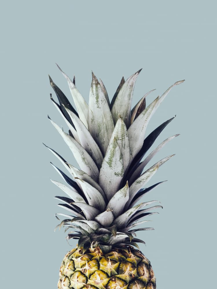 Tropical Pineapple Crown by Vitor Costa — canvas wall art