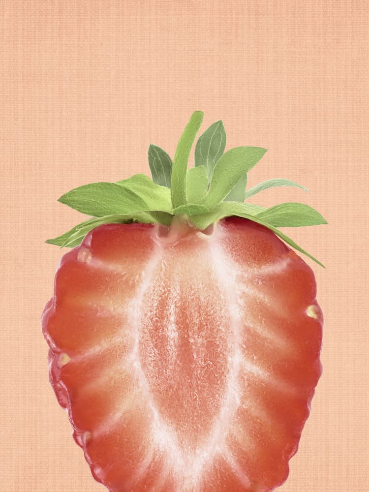 Fresh Strawberry Half by Lila &amp; Lola — canvas wall art