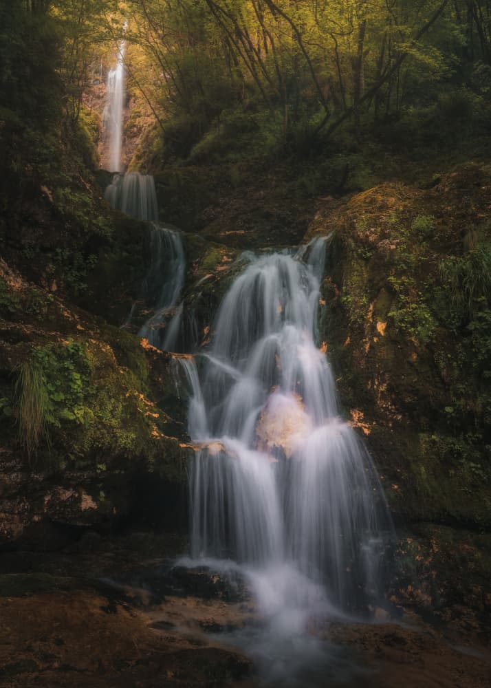 Magical Forest Waterfall by Thomas de Franzoni — canvas wall art