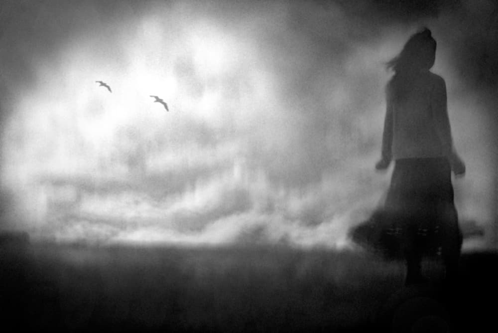 Lone Figure Flying Birds by Teruhiko Tsuchida — canvas wall art