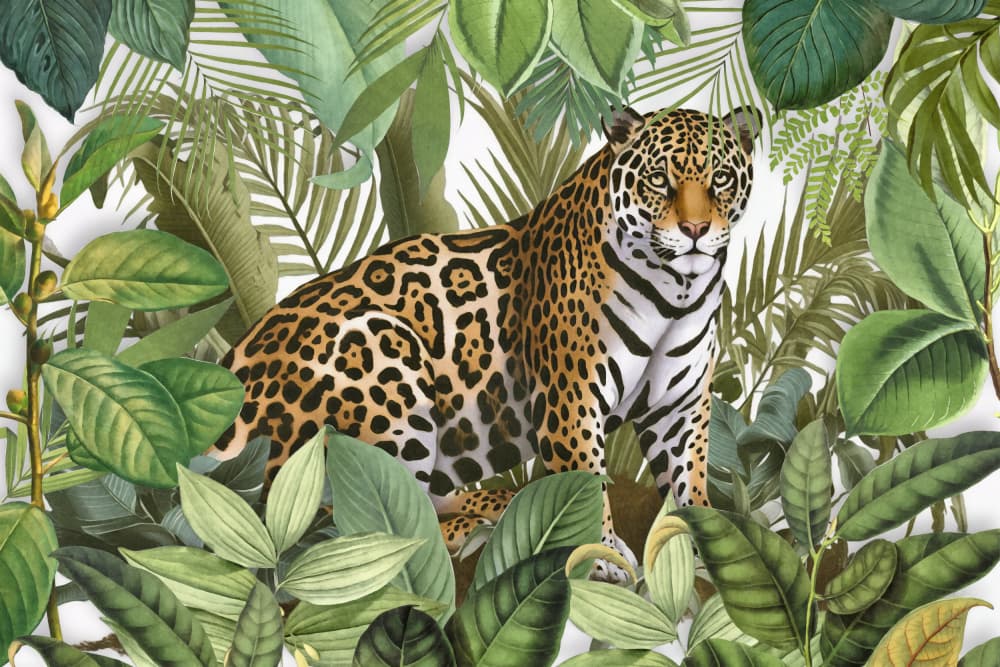 Wild Jungle Jaguar