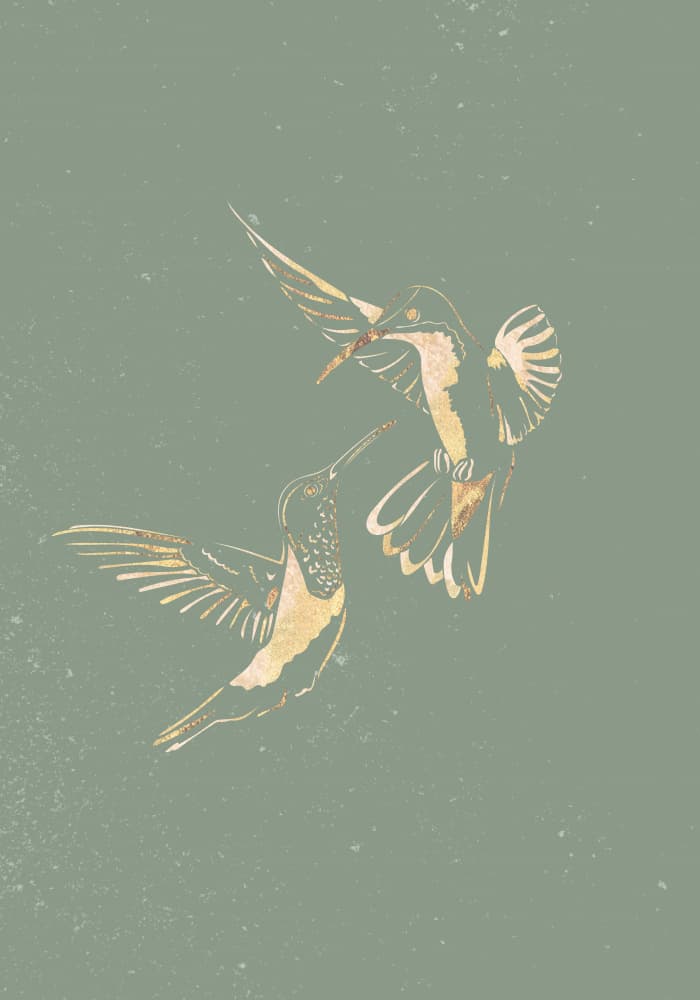 Golden Hummingbirds Dance by Sarah Manovski — canvas wall art