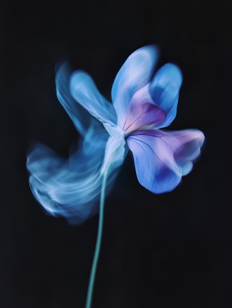 Ethereal Blue Bloom by Bilge Paksoylu — canvas wall art