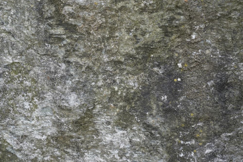 Mossy Rock Texture by Bilge Paksoylu — canvas wall art